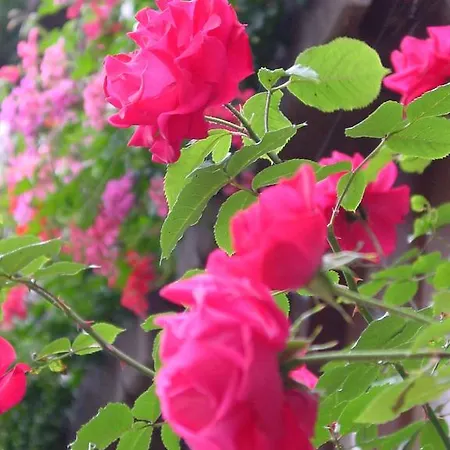 Aparthotel Grabner 4*